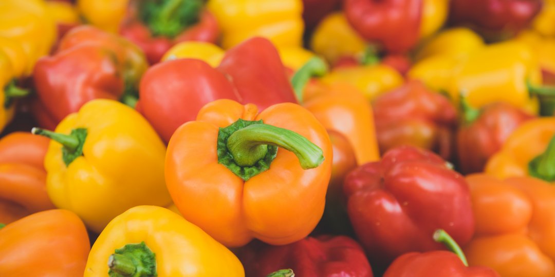 Πολύχρωμες πιπεριές: όλα όσα πρέπει να γνωρίζεις - Κεντρική Εικόνα