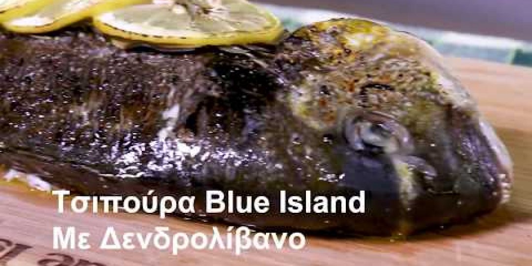 Τσιπούρα Blue Island με δεντρολίβανο (video) - Κεντρική Εικόνα